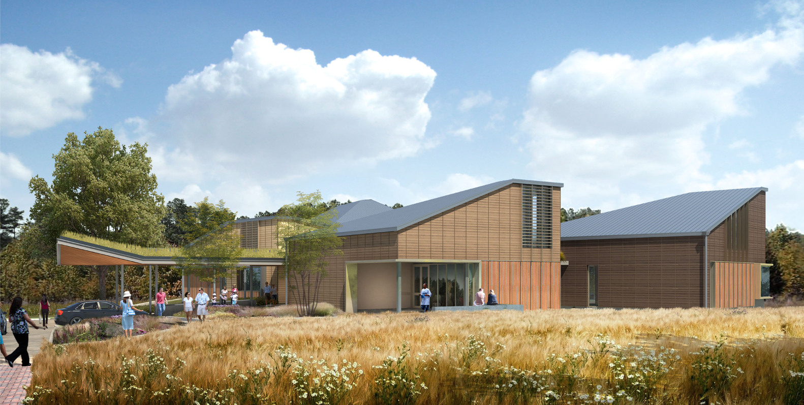 Palmetto图书馆-48