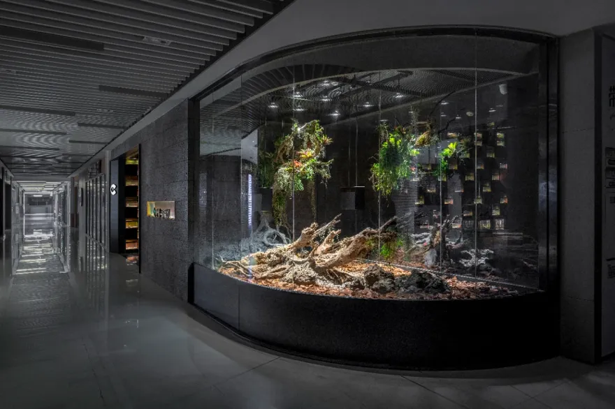 鳞动|其鳞· 爬宠体验店丨谢几点设计事务所(中国•广州)-45