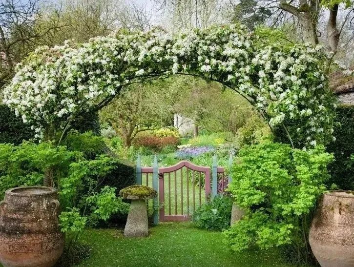 海格罗夫庄园 | 查尔斯王子的世外桃源-175