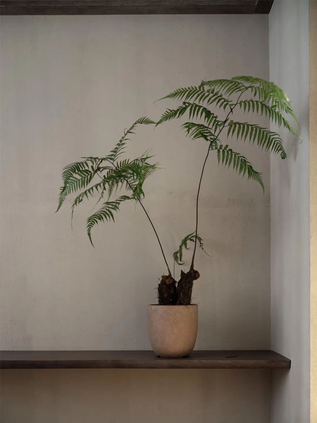 月溪香林·自在丨中国中山丨空间进化(北京)建筑设计有限公司&彩虹石(北京)空间设计有限公司-72