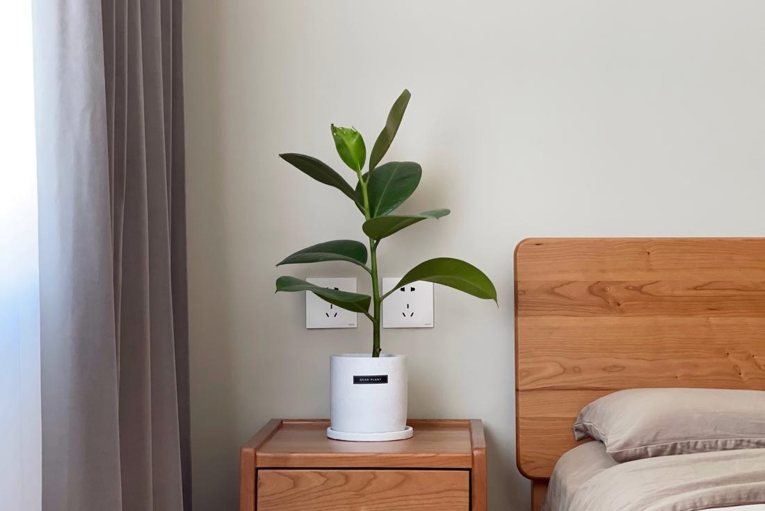 心之所向 · 现代简约风格舒适家居设计-43