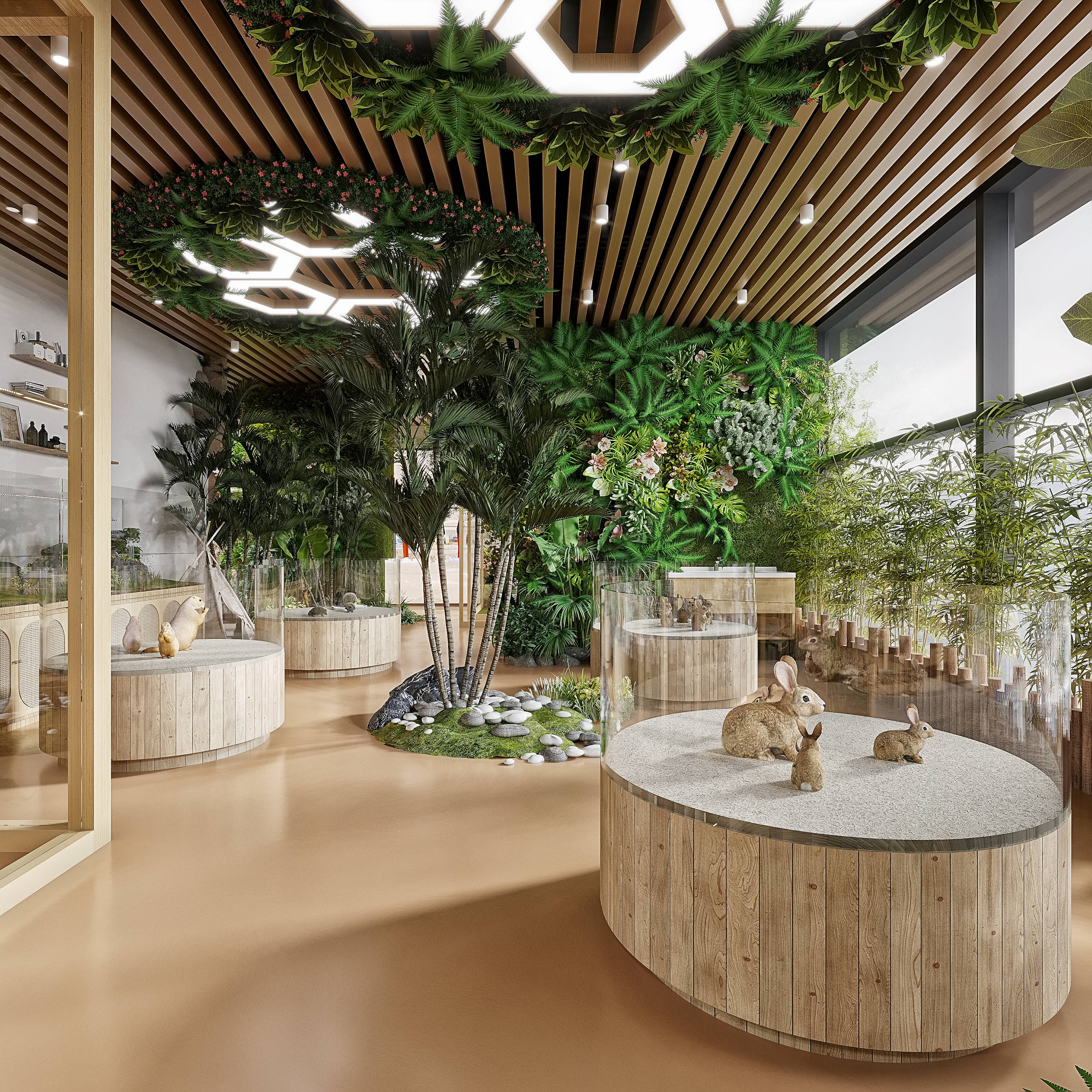 进入动物的王国-1