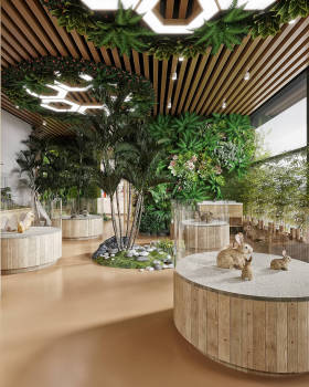 进入动物的王国