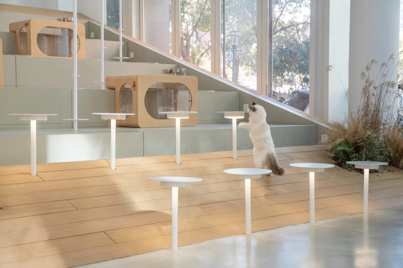 sorry dog咖啡空间设计，上海 / 空间站建筑师事务所-28