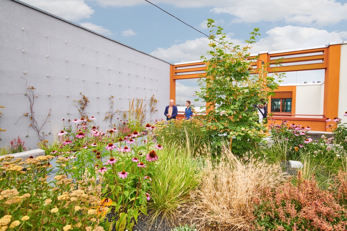 柏林 Kreuzberg 商业庭院与屋顶露台丨德国柏林丨Thomas Hillig Architekten-21