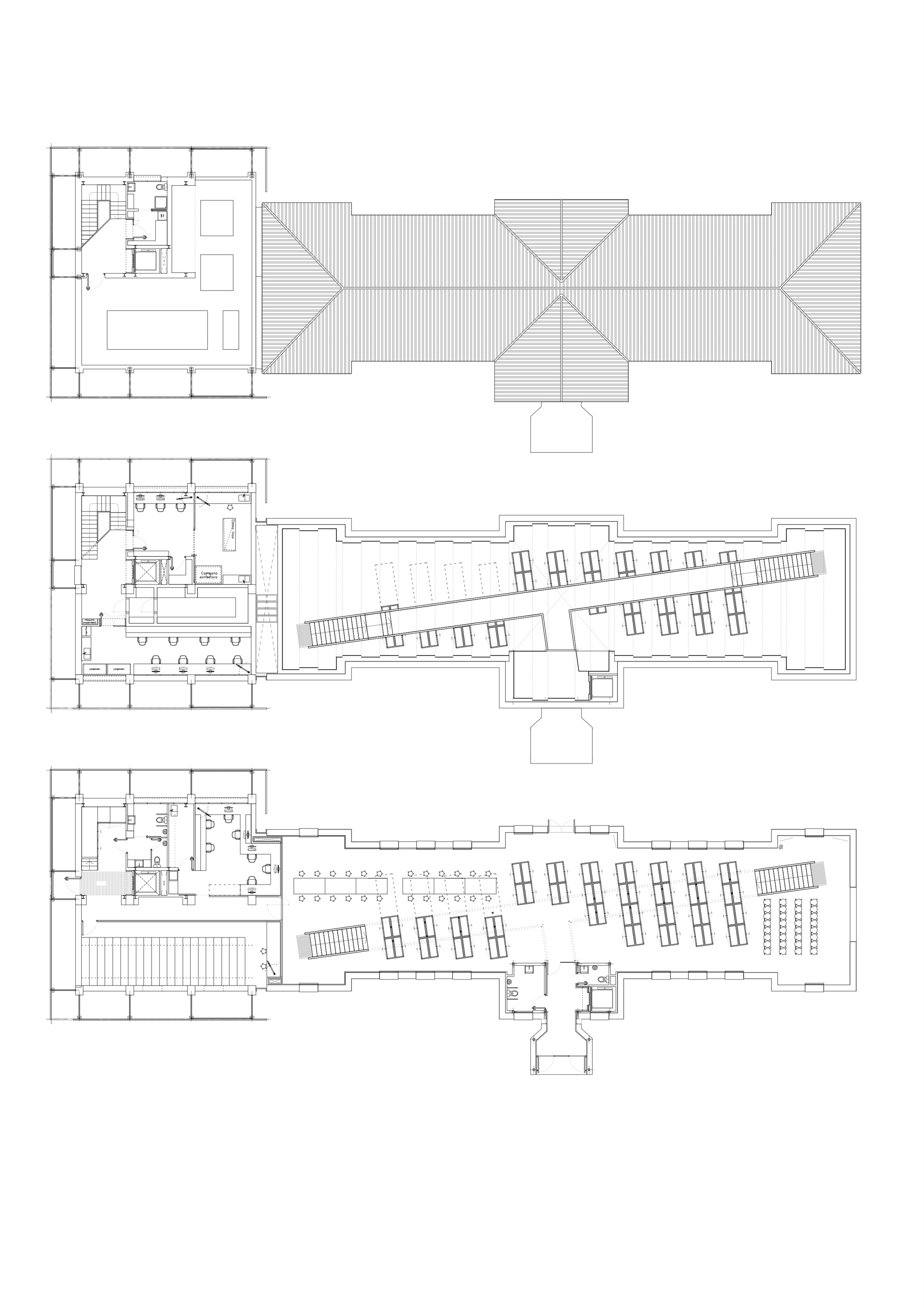 阿利坎特大学自然收藏品博物馆-34