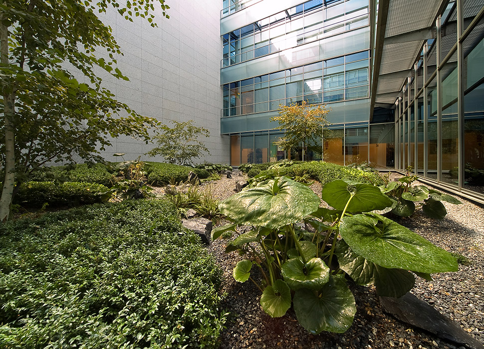 Madrid 办公大楼庭院花园 · 有机自然主义的设计实践-16