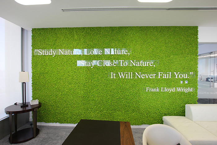 A message in moss -5