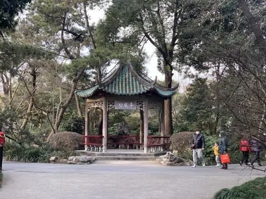 中国园林·理事专栏|“拓”之力量：杨浦公园改造纪实(三)-234