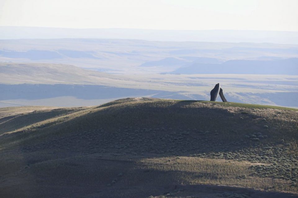 Tippet Rise 艺术中心-17