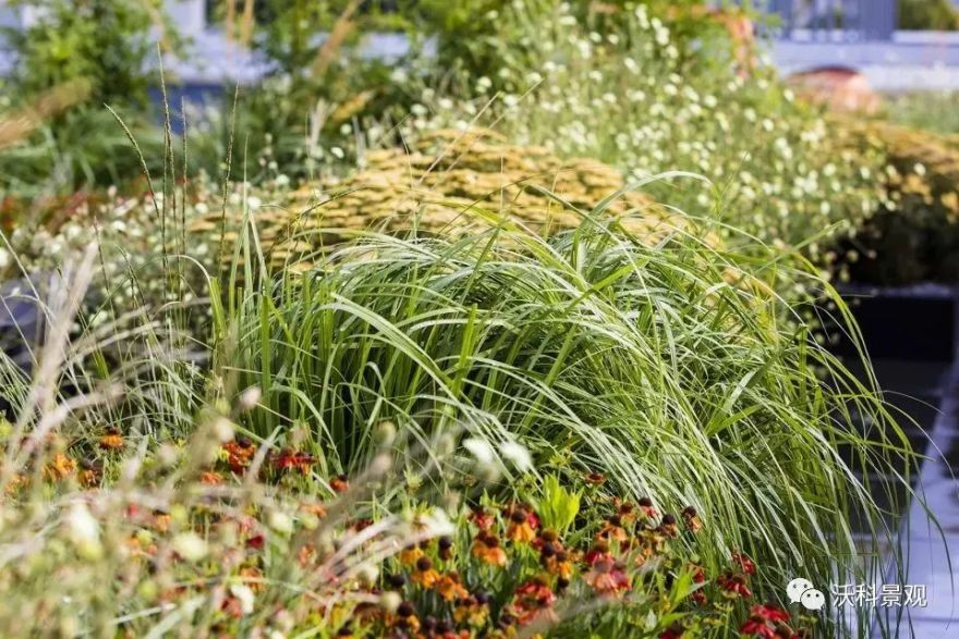 融入自然的别墅庭院设计-76