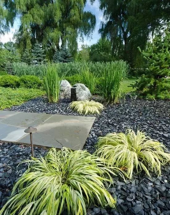 庭院花境中的土壤覆盖物设计与应用-21