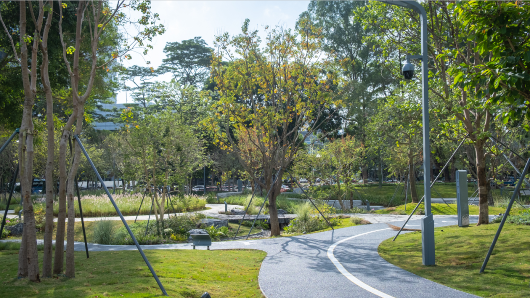 智见 · 云上 | 云之园 CLOUD PARK-121