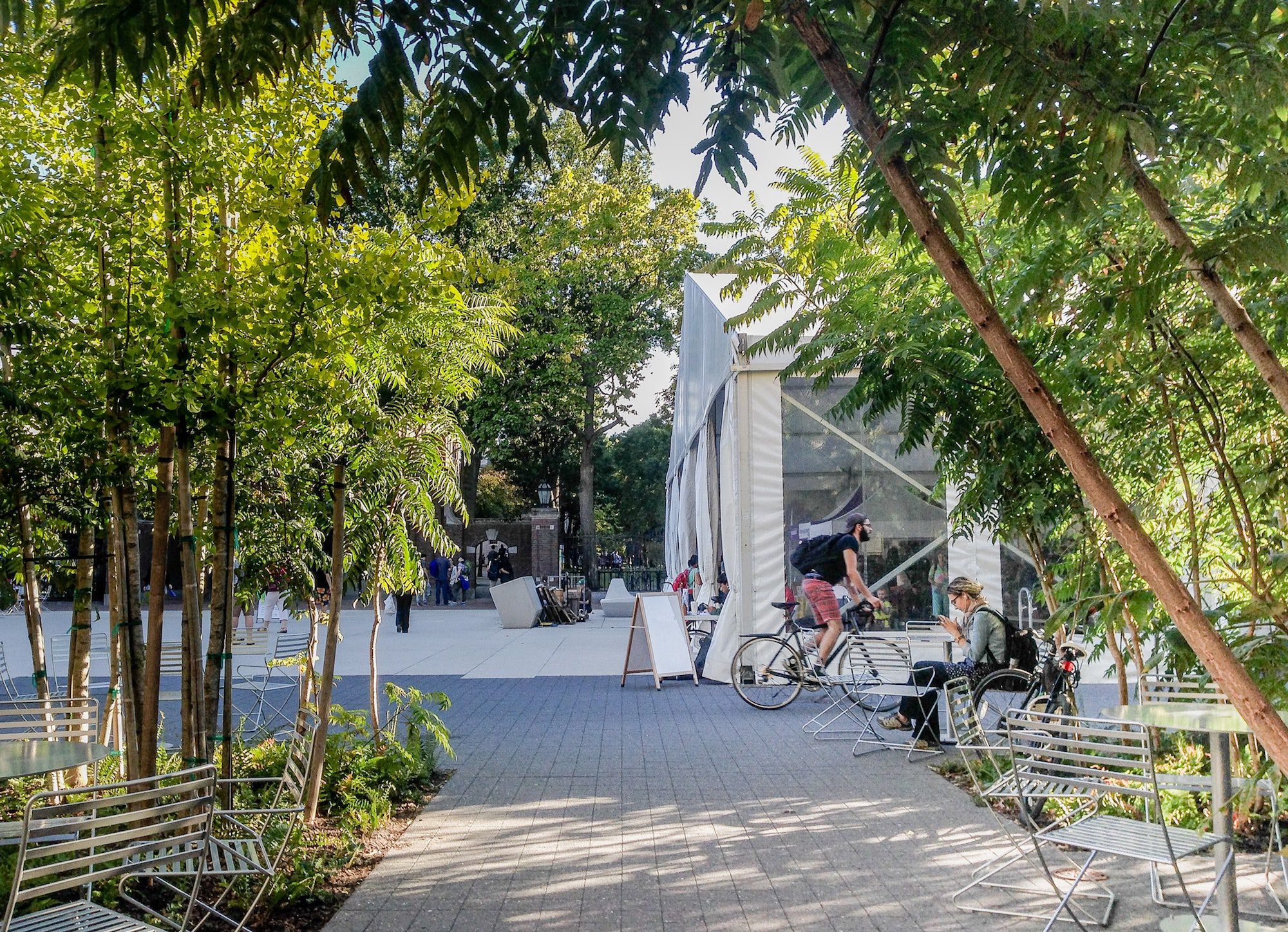 哈佛大学广场丨美国丨不详-22