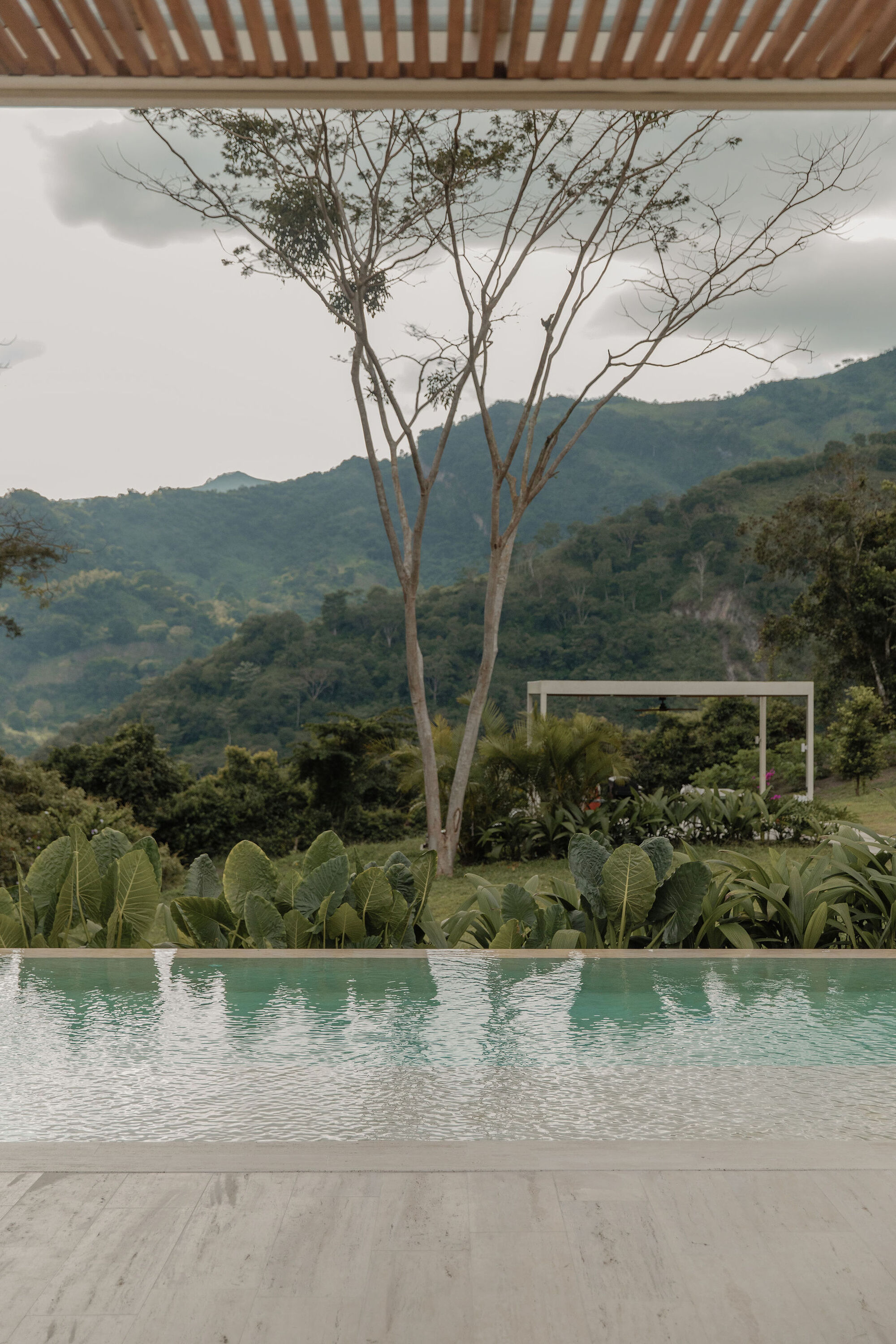 丨哥伦比亚丨crearq.-20