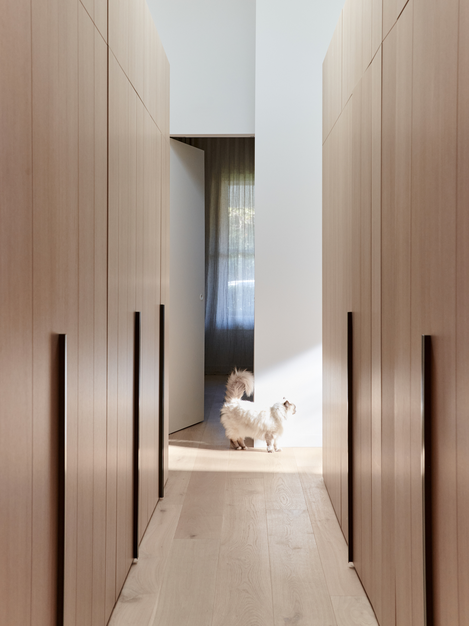 三叶草之家丨澳大利亚墨尔本丨Carole Whiting 团队-8