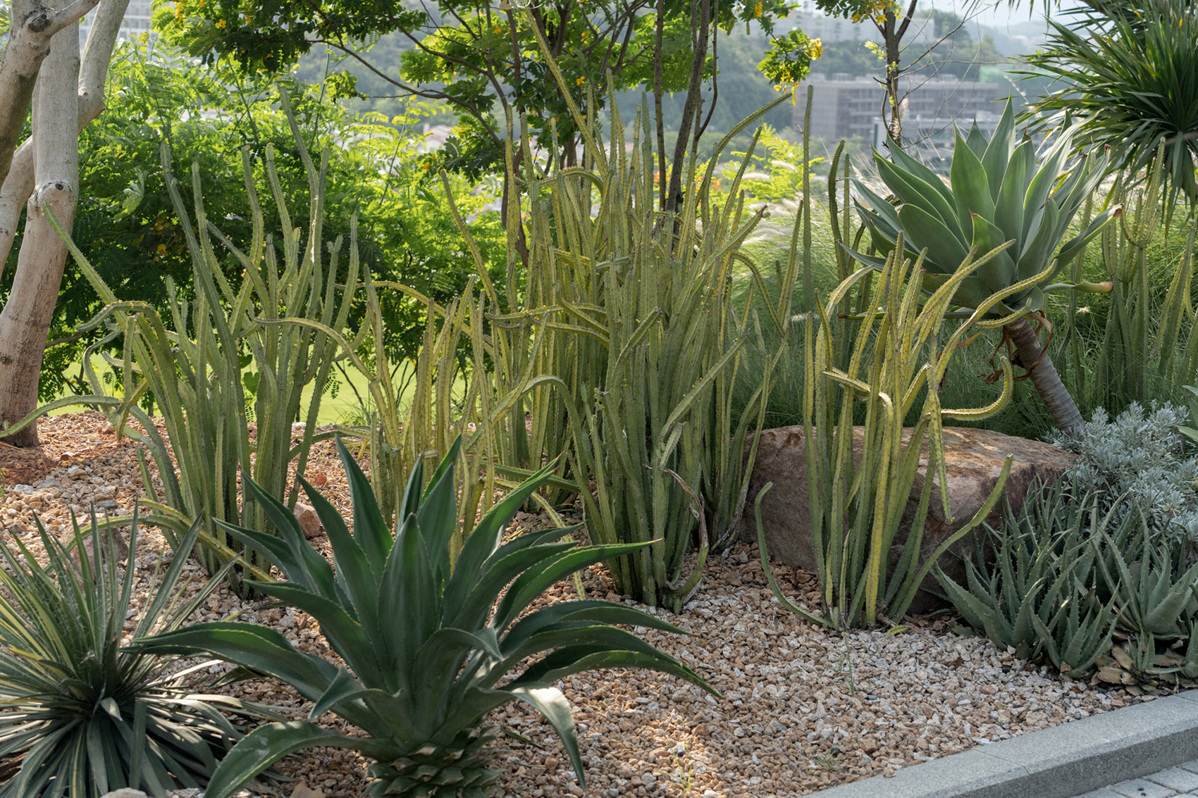 阿那亚·三亚三期丨中国三亚丨Line+-88