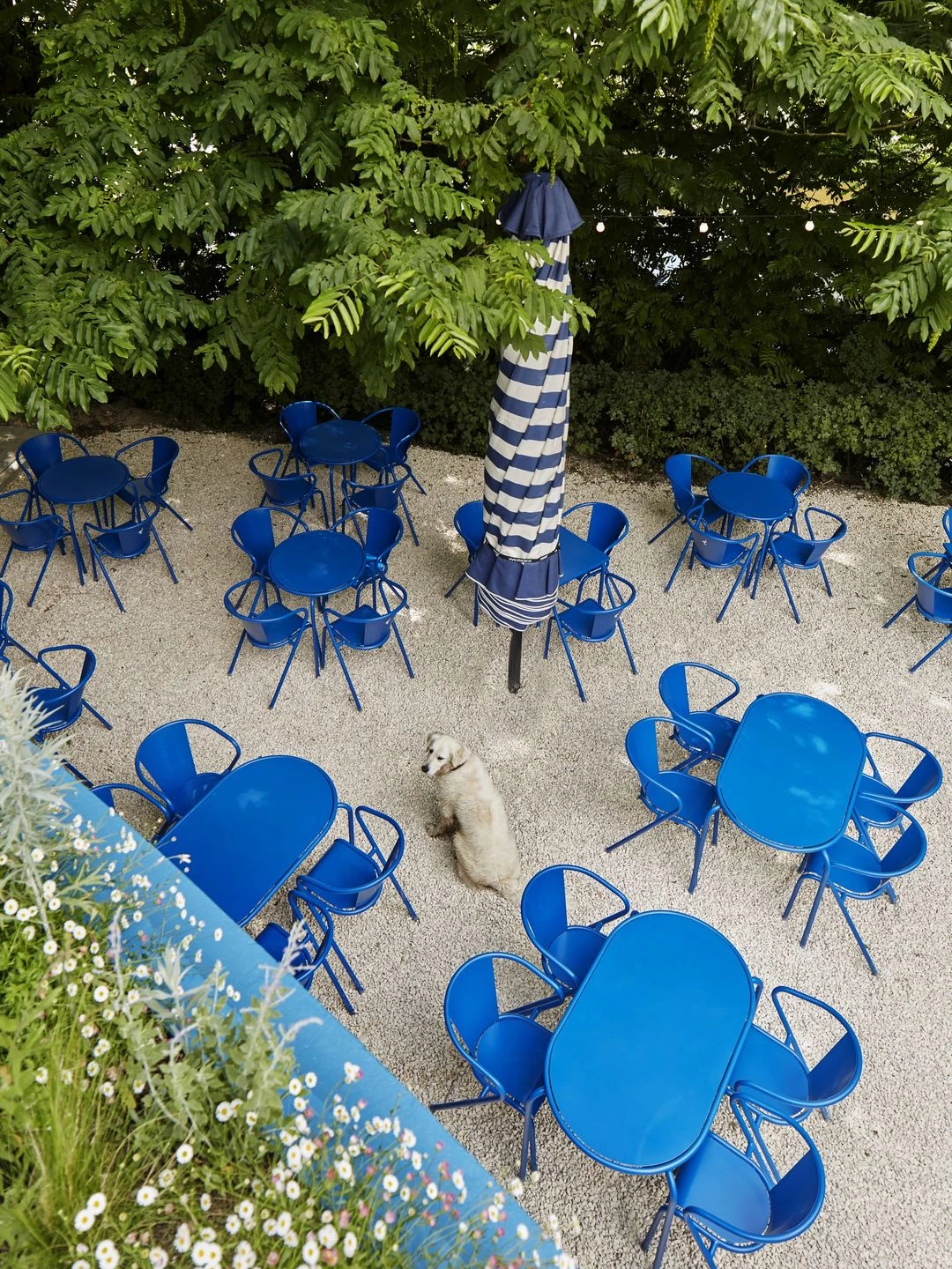 荷兰 Amsterdam 的绿色宁静餐厅 Blauwe Theehuis-24