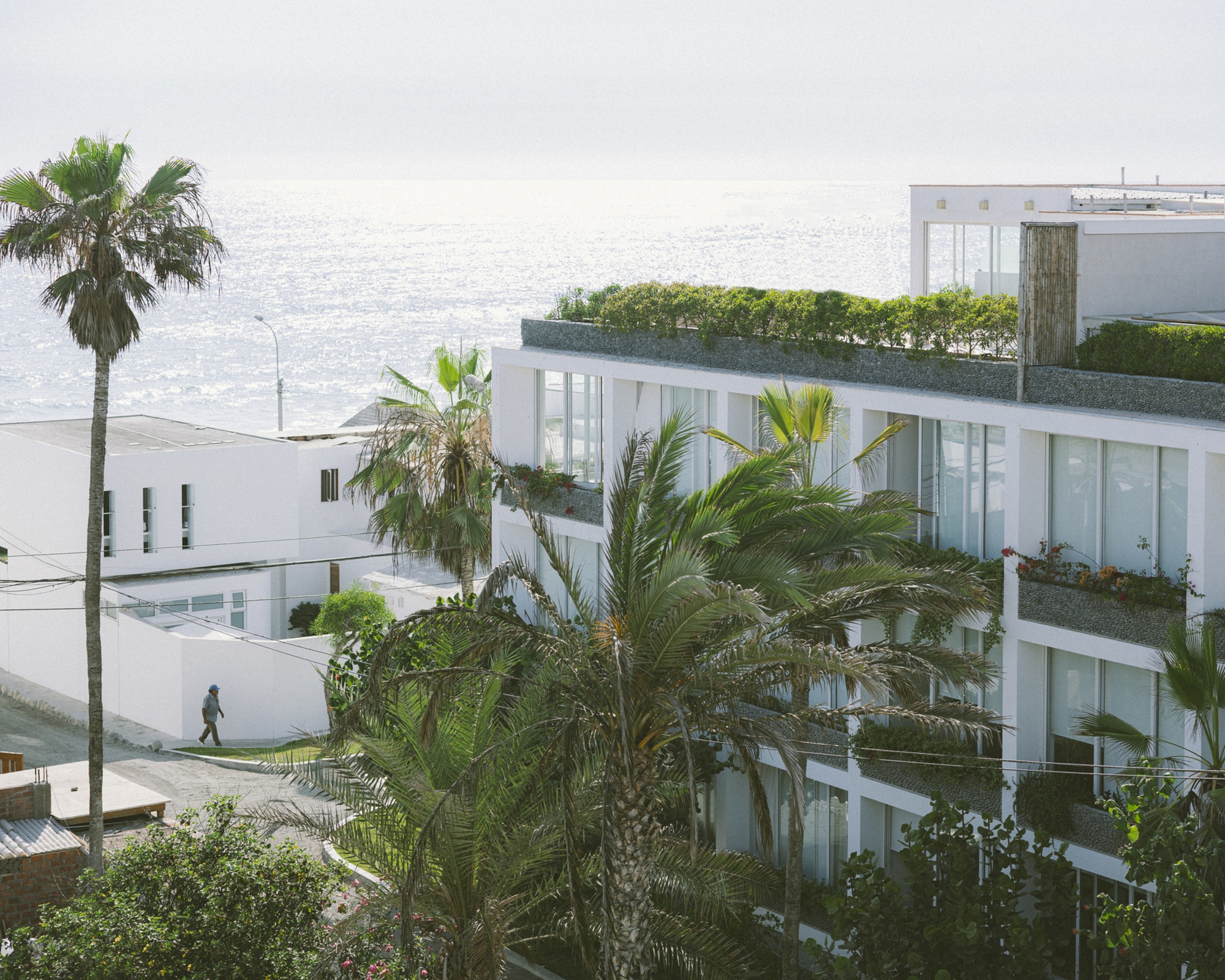 阿贝哈大厦丨秘鲁利马丨Martin Dulanto-32