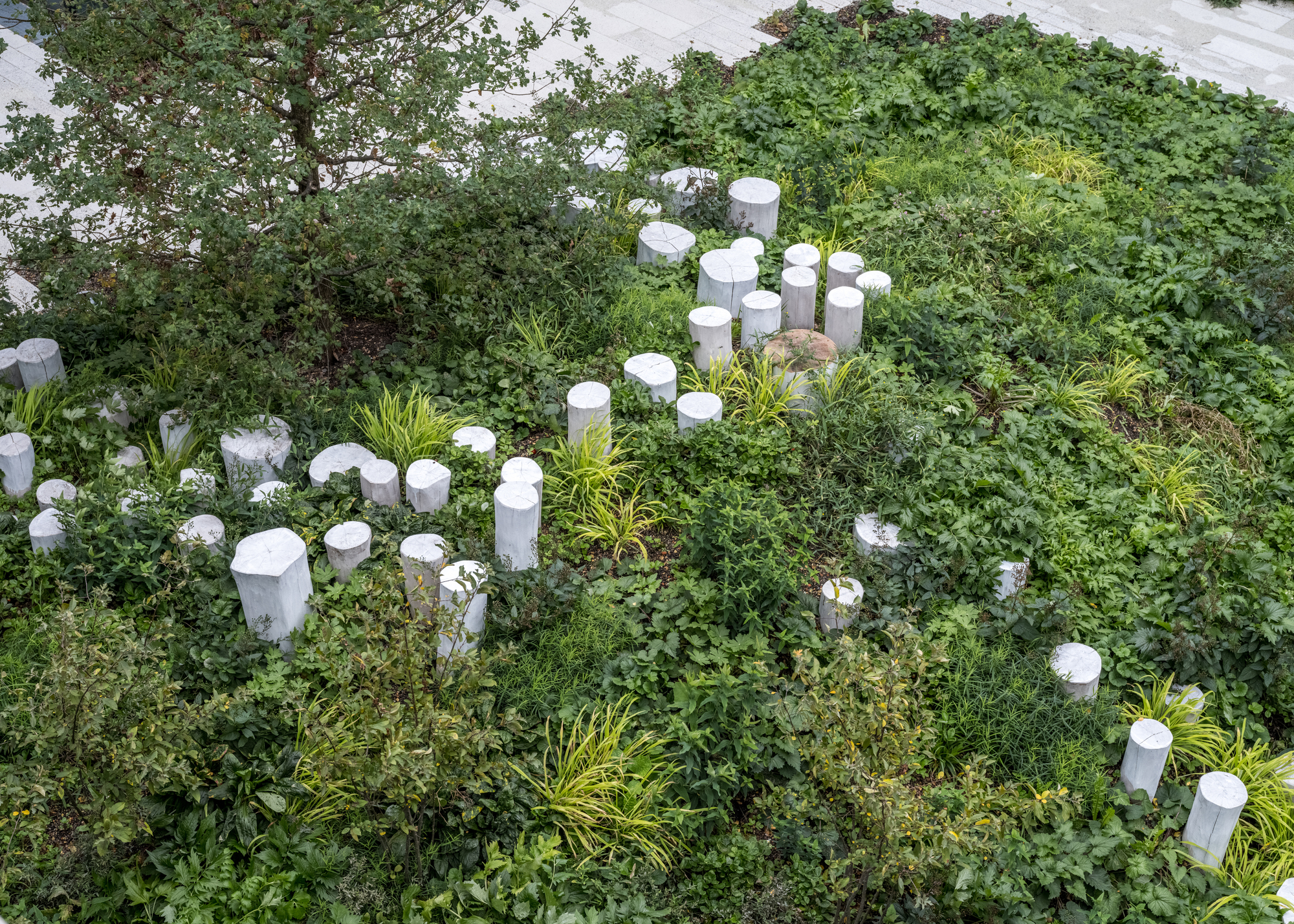 哥本哈根斯泰诺糖尿病中心丨丹麦-41