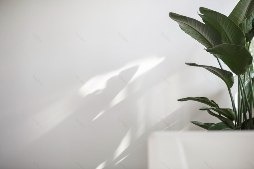 YANG 的「自·白」——简约留白,自然舒适-61