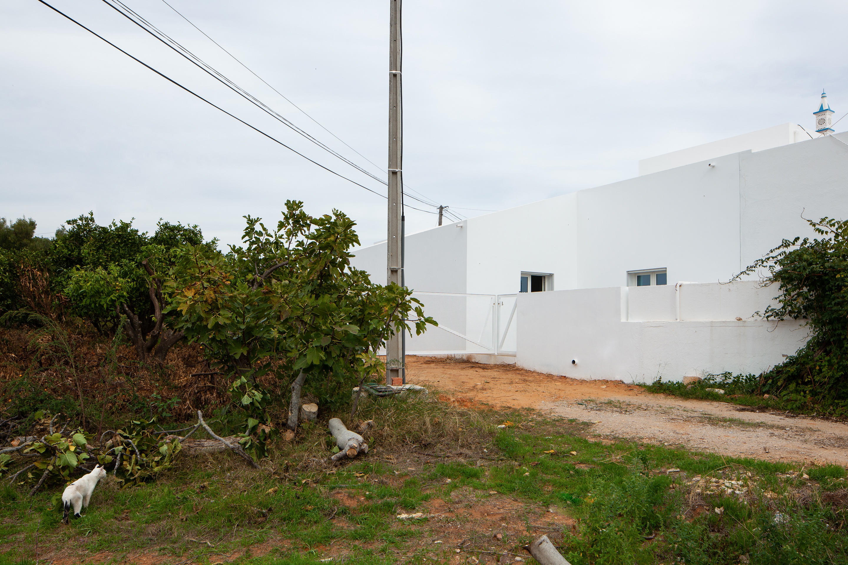 Falfosa House | TAEP+AAP-25