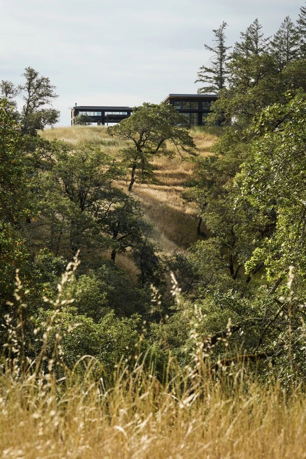 森林中的宁静隐居,对话自然之美-92