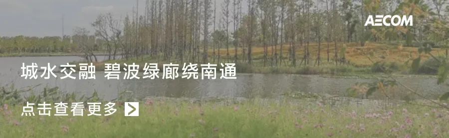 重生之河 | 广州大坦沙岛“蓝色命脉”的生态复兴-113