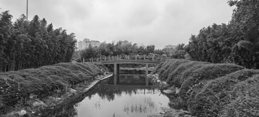 枣庄高新区人才公园设计丨中国枣庄丨同圆设计集团股份有限公司-51