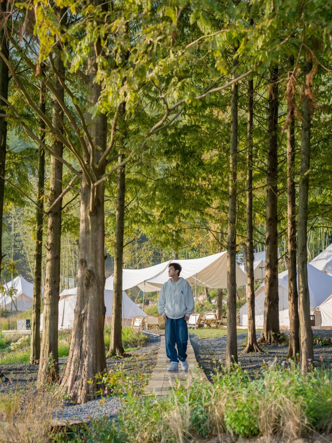 数一轮晨夕 折一朵明媚 | 安吉小杭坑营地-64