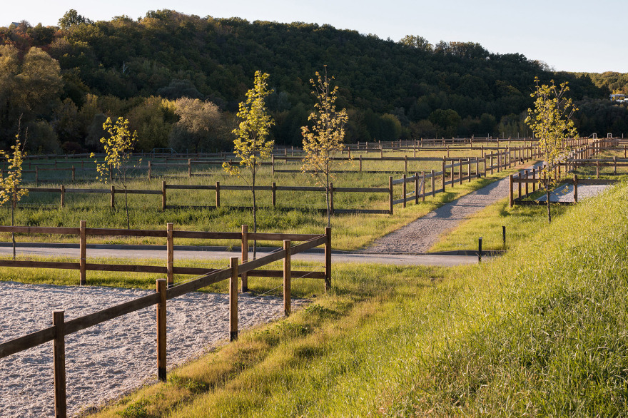 VG马术俱乐部,乌克兰 / Drozdov&Partners-12