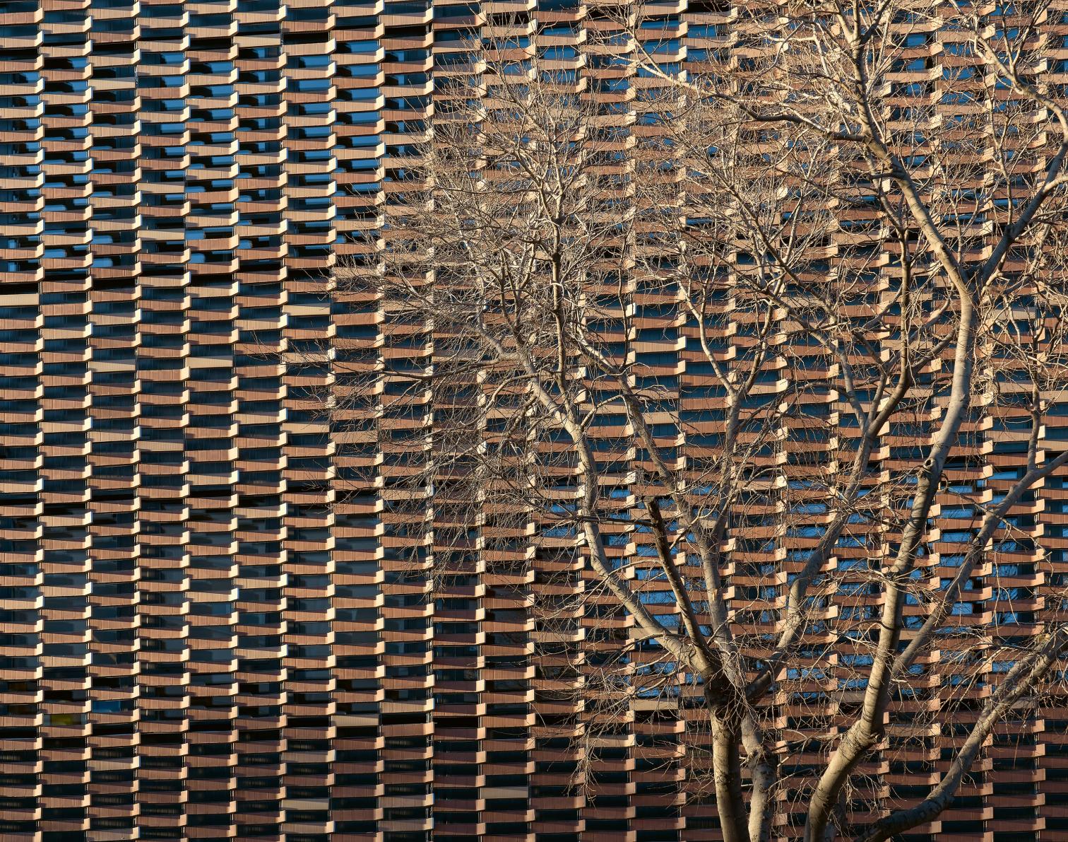 巴塞罗那生物气候研究大楼-14