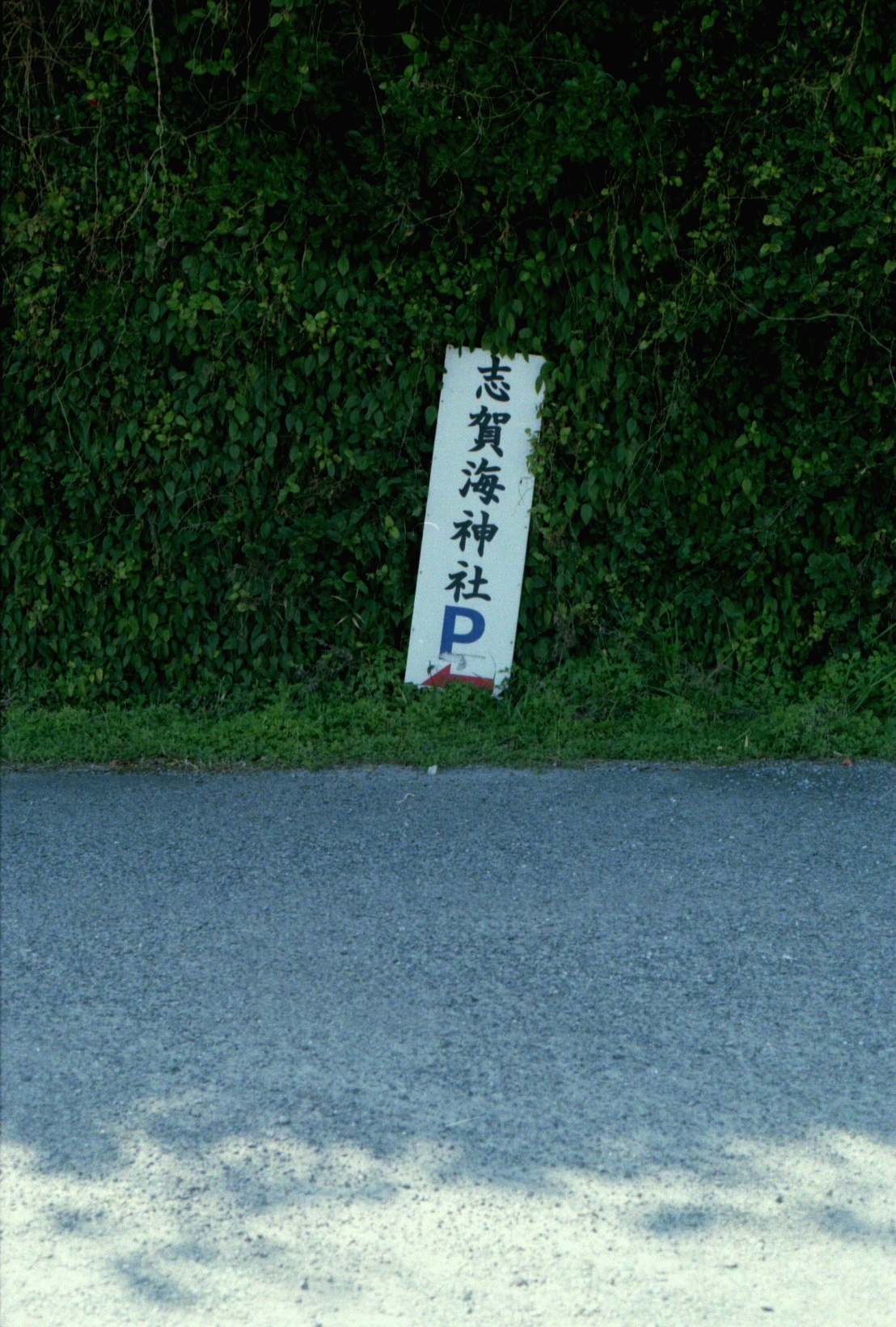 Film lives on.-6