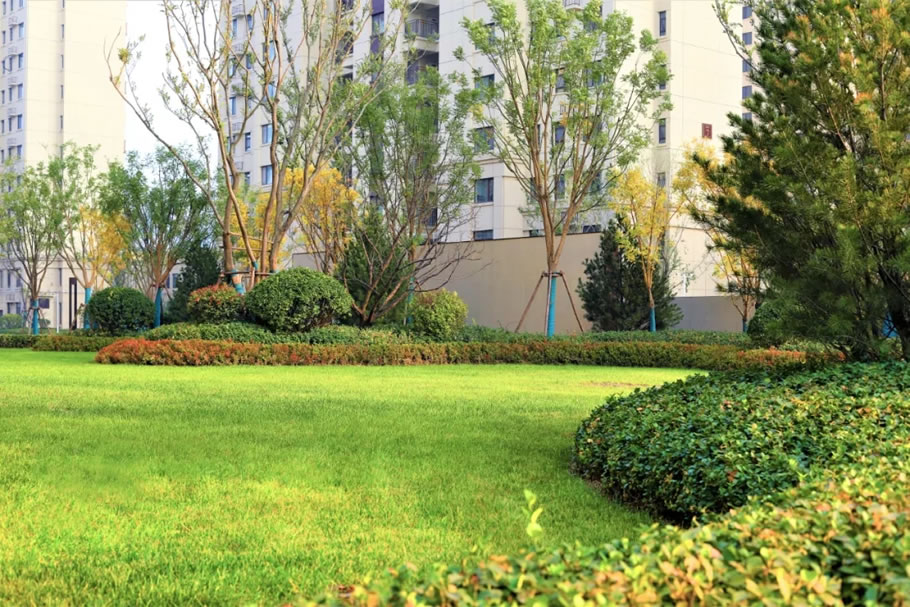 济南世茂·璀璨天境丨中国济南丨上海道田景观工程咨询有限公司-39