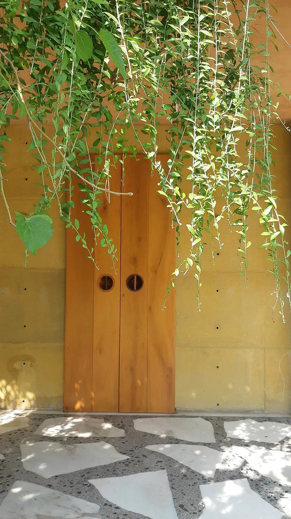 棚 2·0丨印度丨Studio ii-37