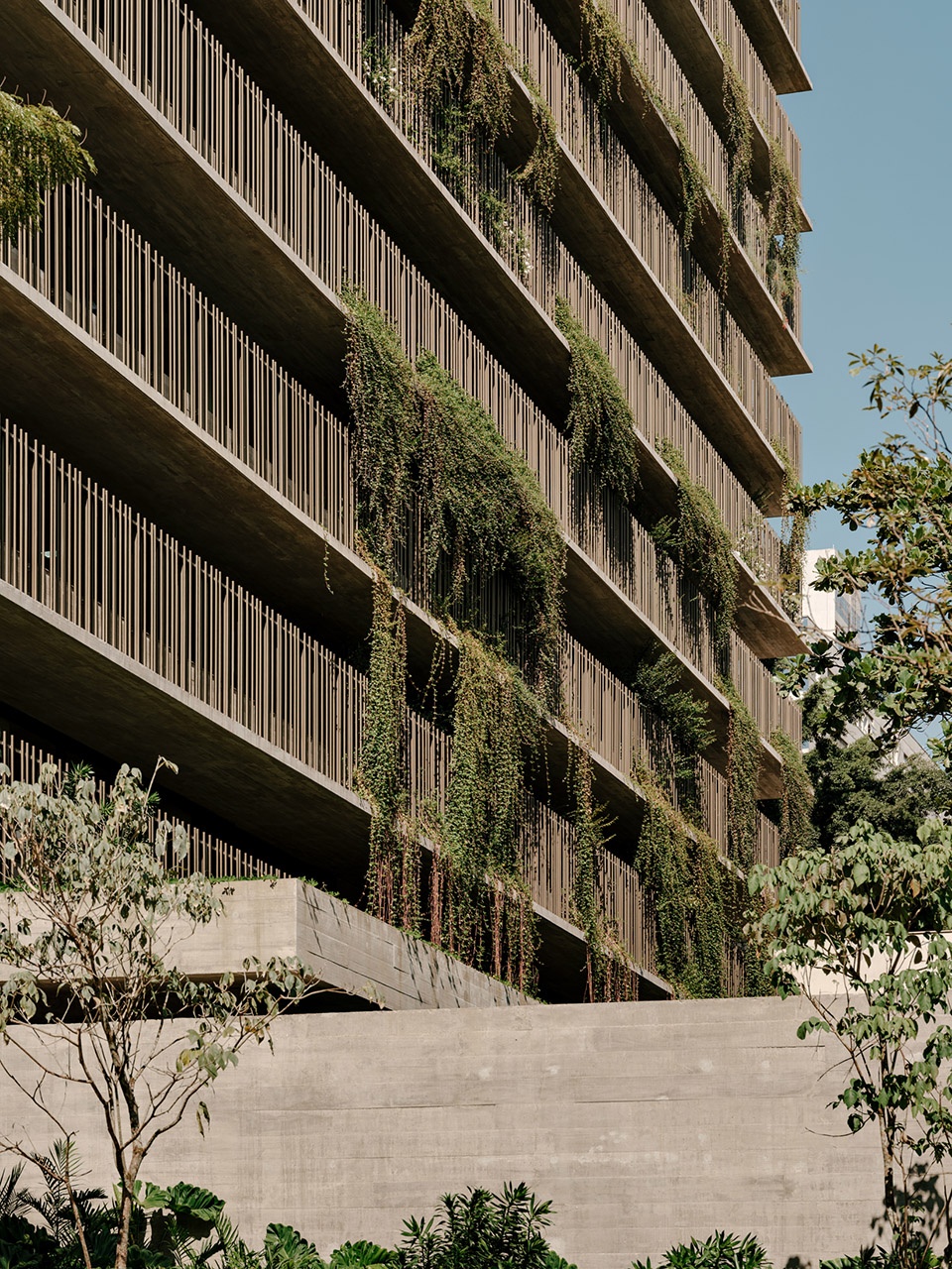 巴西伊巴泰大厦丨Studio Arthur Casas-32