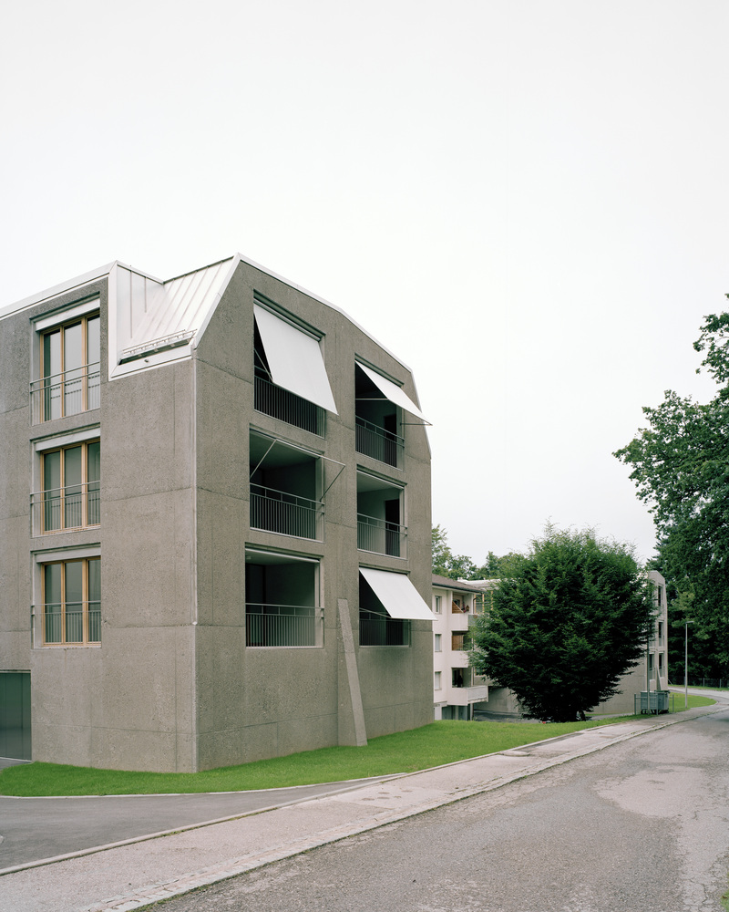 瑞士乡村豪华公寓丨Deschenaux Architects-28