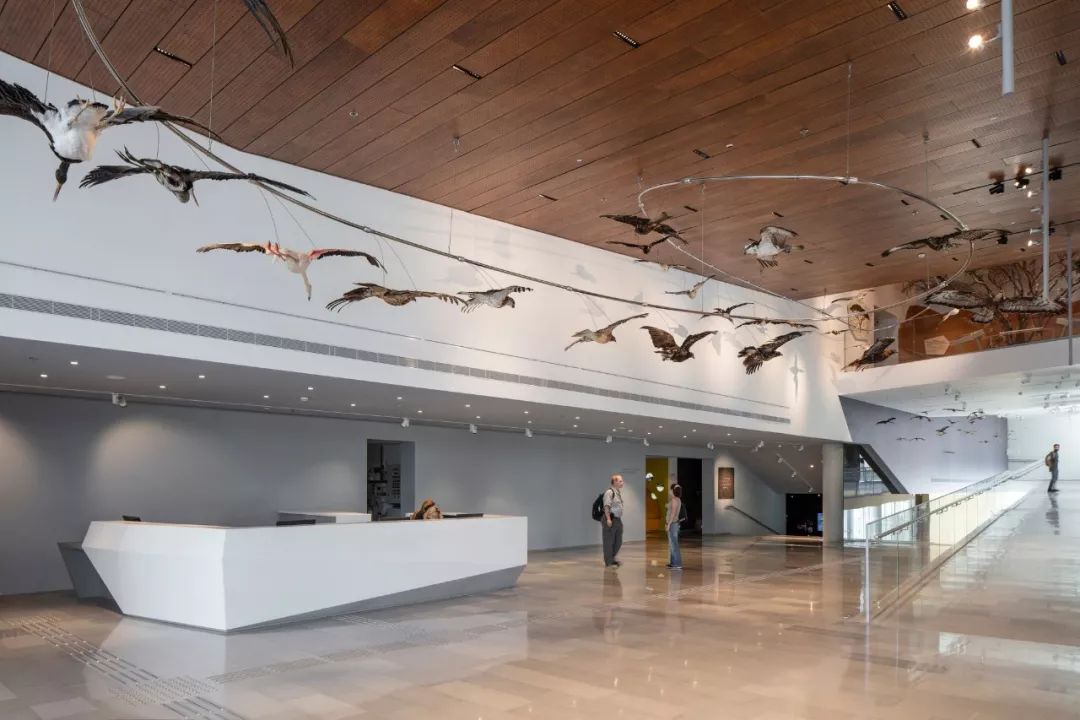 以色列建筑事务所 Kimmel Eshkolot 的杰出设计-37