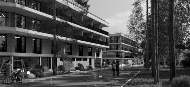 Репино疗养院带独立SPA综合体概念设计项目丨俄罗斯圣彼得堡丨建筑工作室“А.Лен”-44