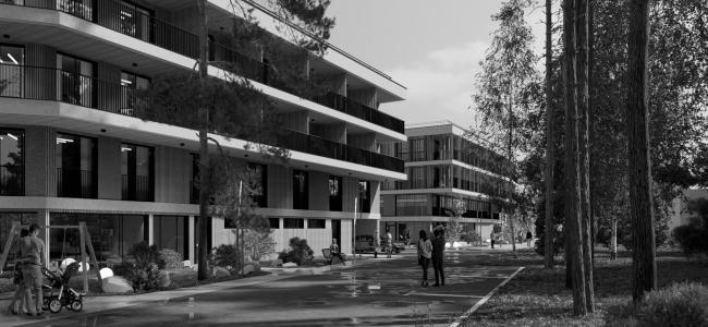 Репино疗养院带独立SPA综合体概念设计项目丨俄罗斯圣彼得堡丨建筑工作室“А.Лен”-44