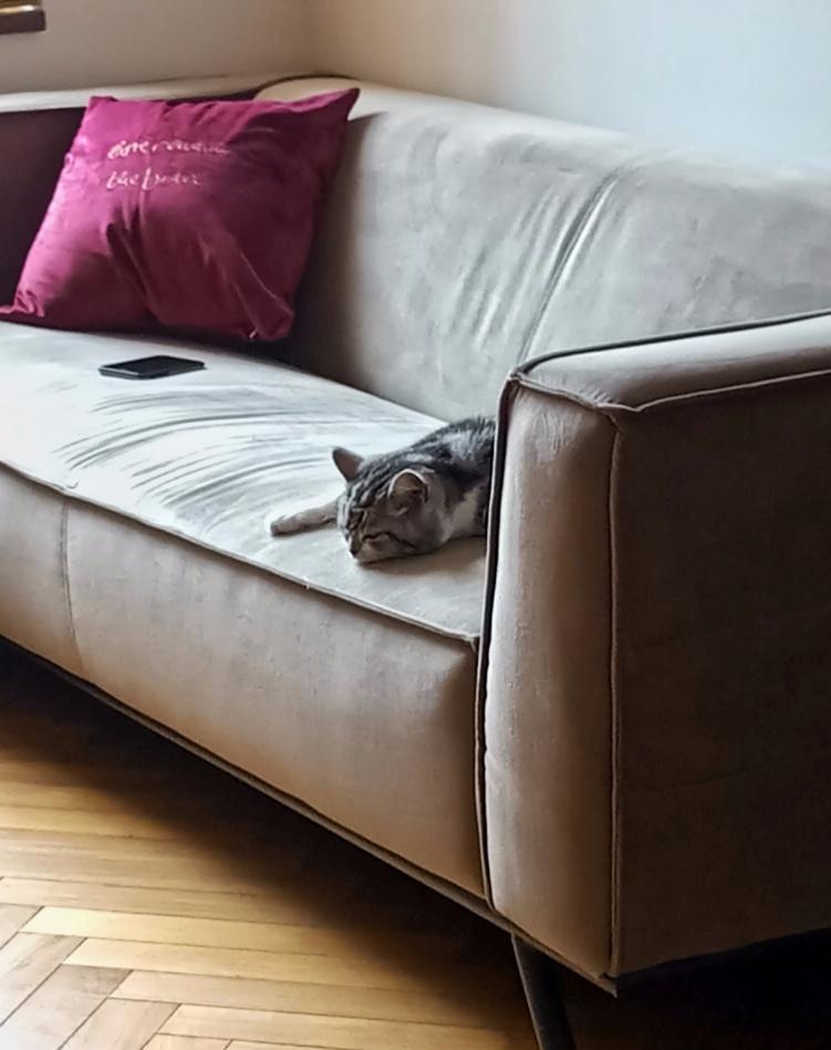 融合生活的洄游空间 | 多功能复合型设计-39