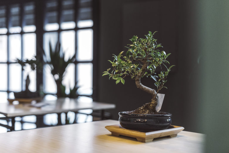 民族风亚洲美食餐厅-3