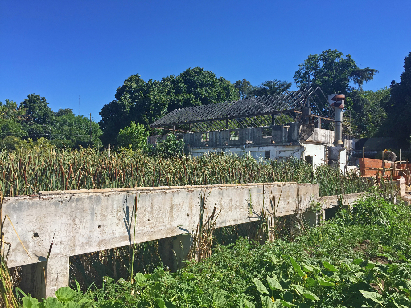 阿根廷绿舍共享办公空间-47