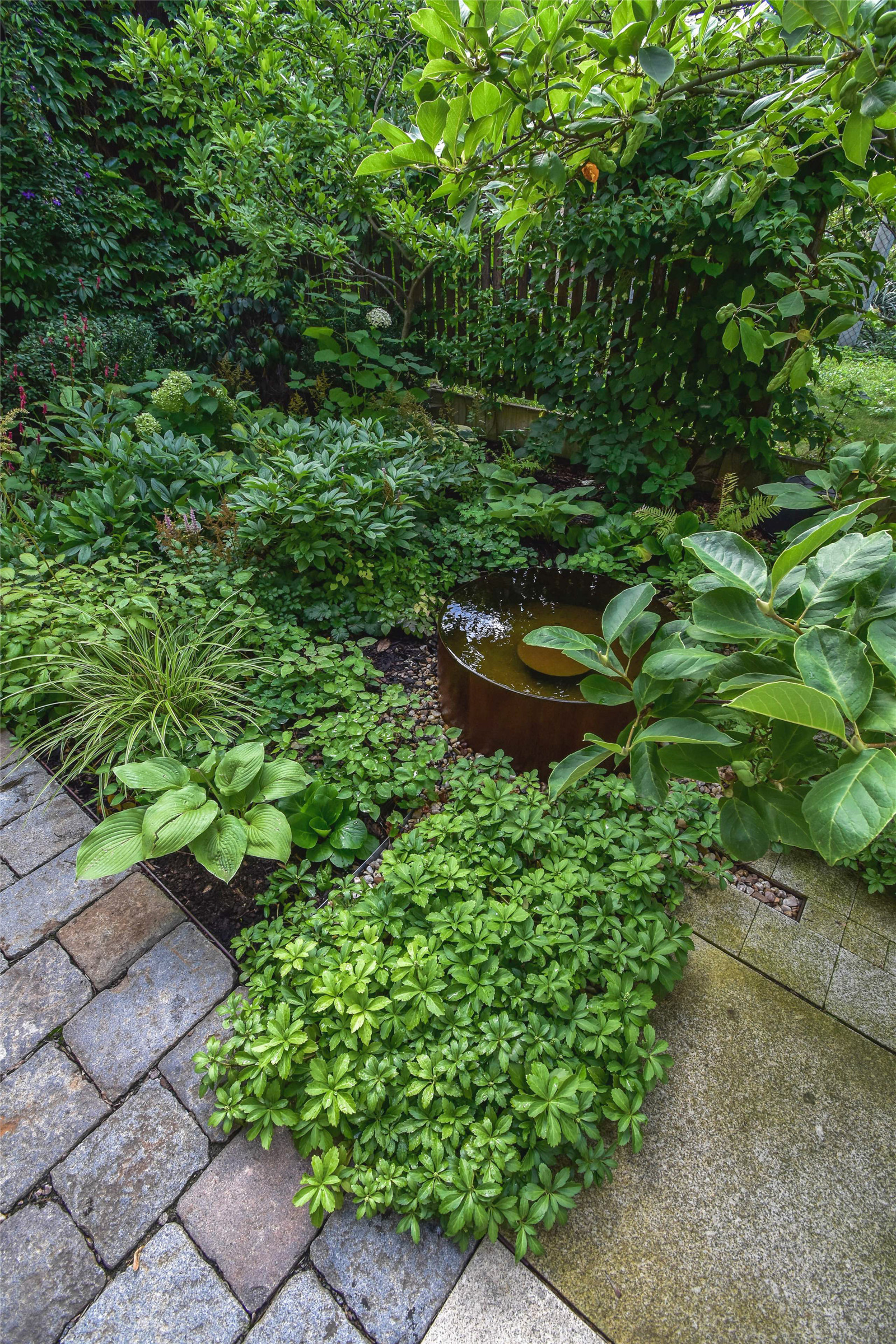 捷克利托米什尔住宅庭院景观丨Atelier Partero-25