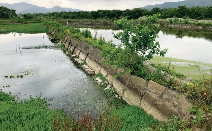 台州鉴洋湖湿地公园首启区景观设计丨中国台州丨AECOM-9