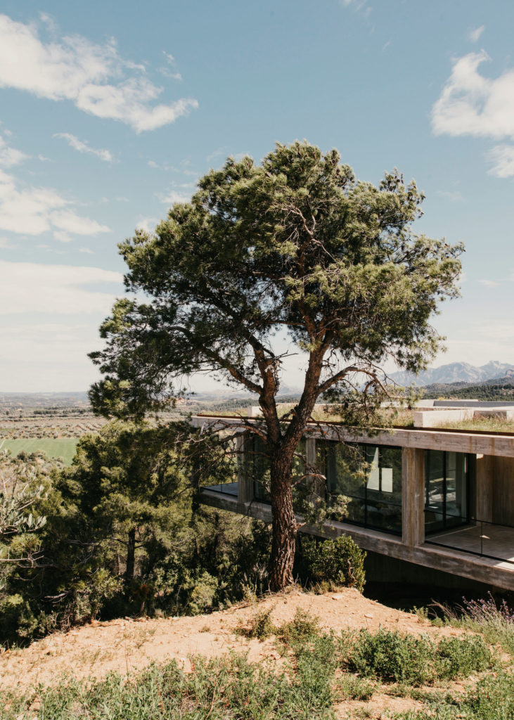 别墅景观丨西班牙丨智利建筑事务所Pezo von Ellrichshausen-34