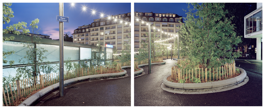 7000 Oaks 与城市生态共生的艺术设计-36