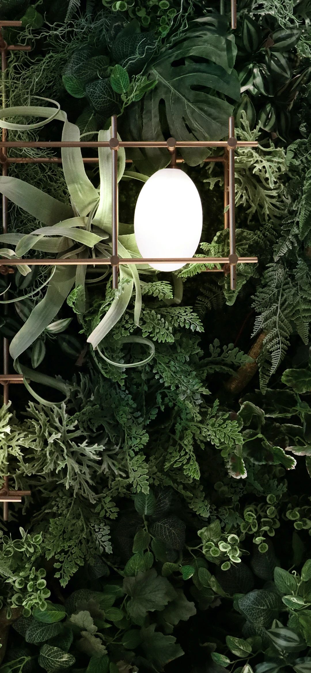 万科公园城市示范区-203