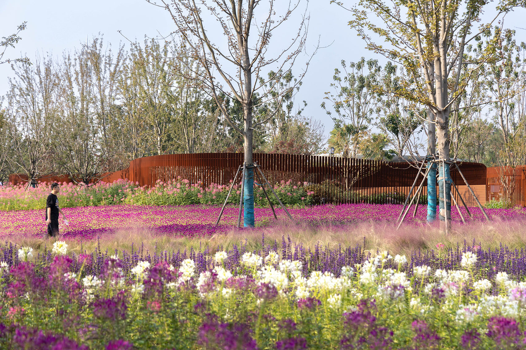 2023年中国（合肥）国际园林博览会百花园设计丨中国合肥丨北京多义景观规划设计事务所,北京林业大学园林学院-37