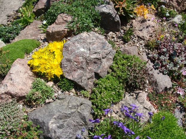 捷克雷哈切克先生的私家花园-41